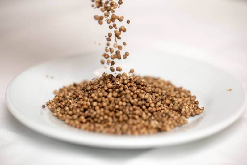 Dinner 4 hands: culinary journey to Iran with chef Mojgan Tashvighi